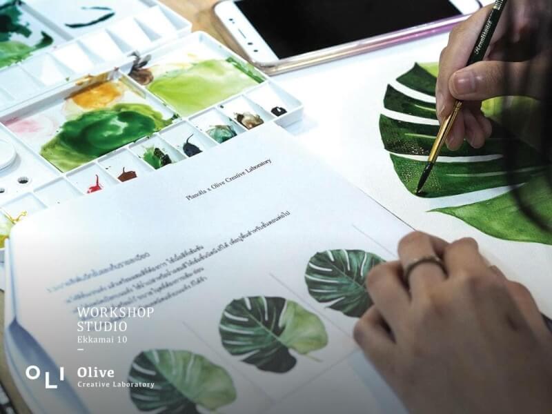 Olive Creative Laboratory